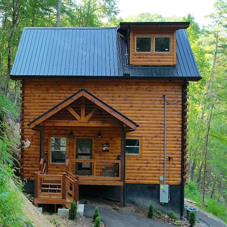 Hawks Nest Mountain Cabin Сев'єрвілл Екстер'єр фото
